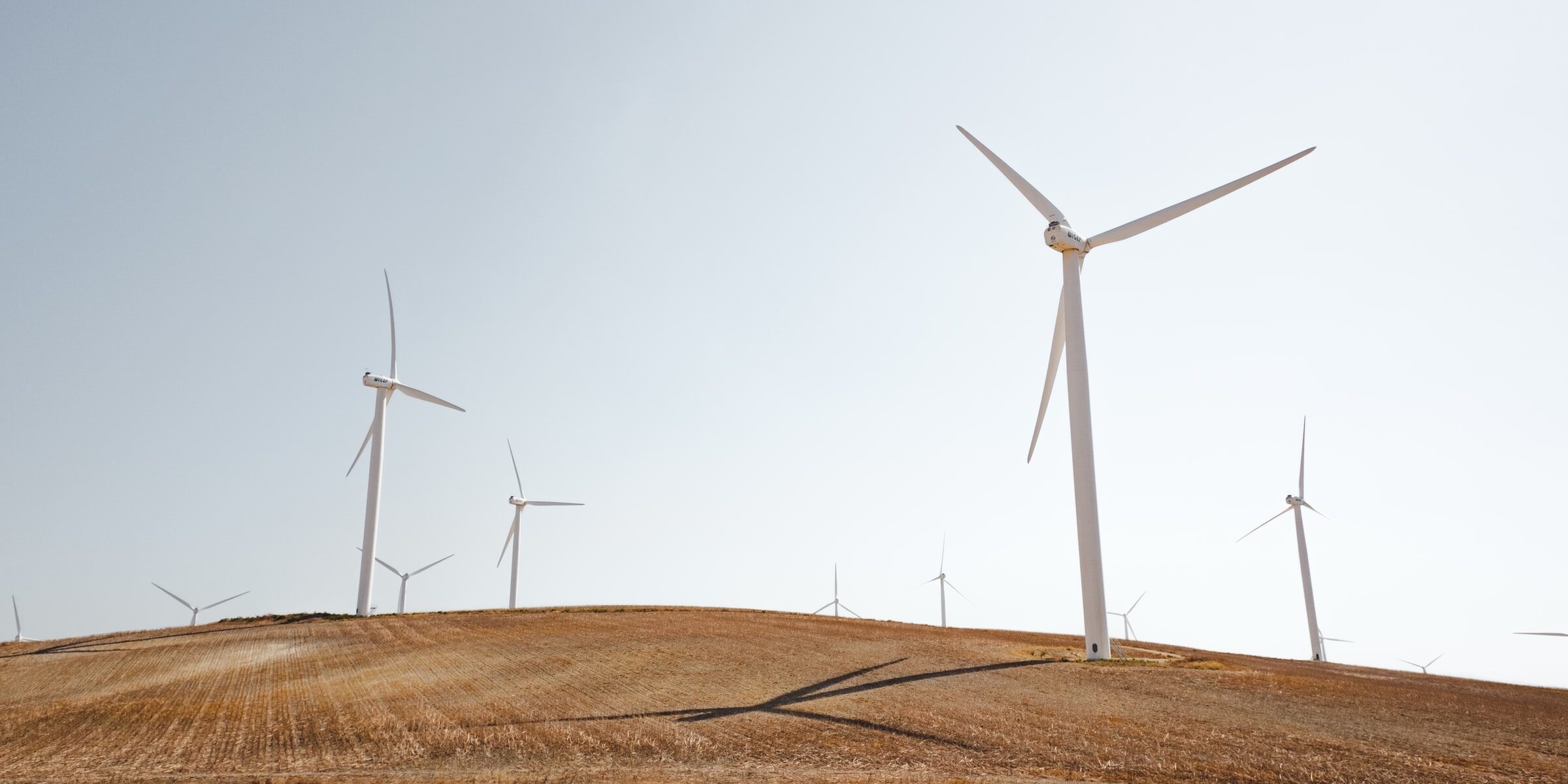 luca-bravo-YoelVcKWmws-unsplash